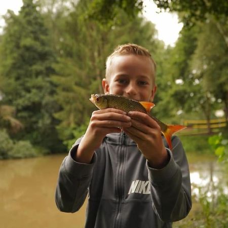 Saevis Tranquillus In Undis In De Ijsvogel Villa Diffelen Eksteriør billede